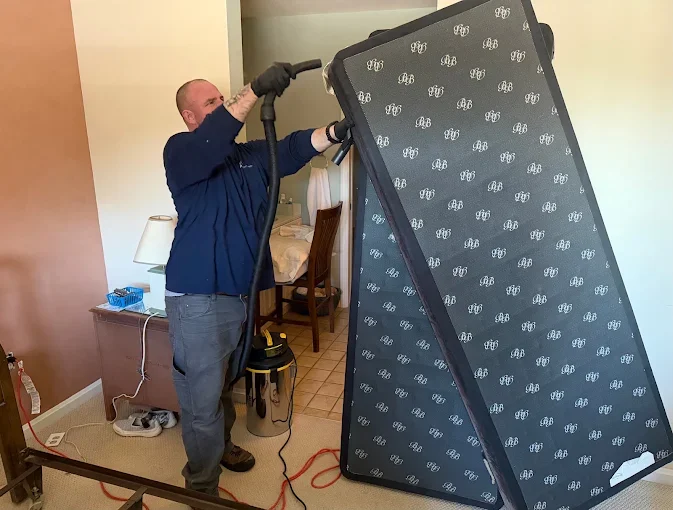 Technician treating upholstered couch with professional pest control equipment and spray apparatus