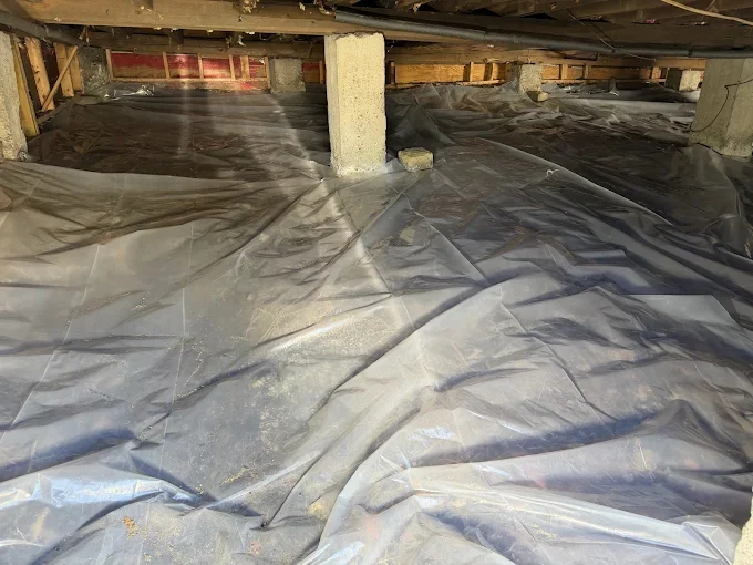Crawl space with black vapor barrier and pest control treatment application around support posts
