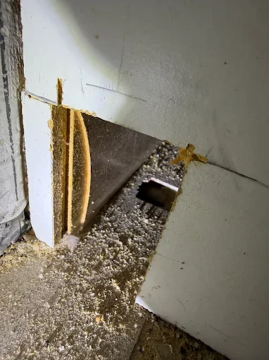 Drywall cutout exposing rodent entry point with debris and nesting material visible behind wall