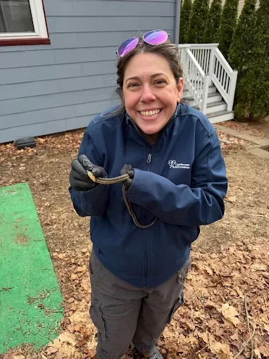 Technician holding safely contained garter snake during residential removal service