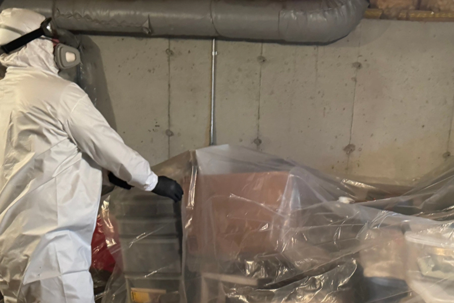 Pest Prevention & Inspection Programs