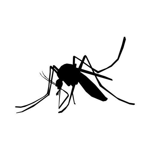 Mosquito graphic