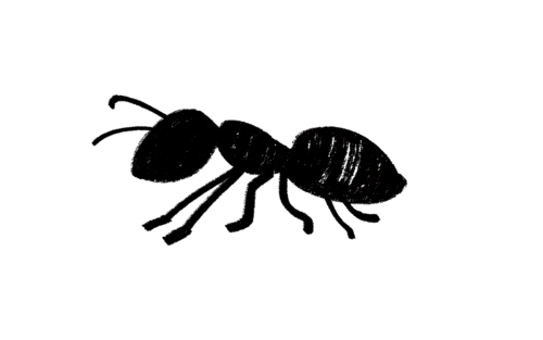 ant extermination icon